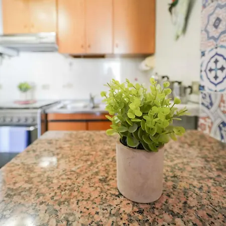 Apartment 125 - Annuncio Non Attivo *